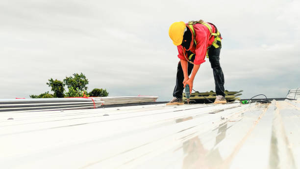 Best Roof Coating and Sealing  in Falcon Heights, MN